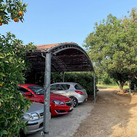Casa Rural Con Encanto, 4 Hab Con 4 Banos Completos En Suite, Piscina Y Campo Privado Pedreguer Exteriér fotografie