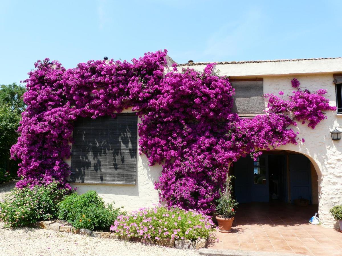 Casa Rural Con Encanto, 4 Hab Con 4 Banos Completos En Suite, Piscina Y Campo Privado Pedreguer Exteriér fotografie
